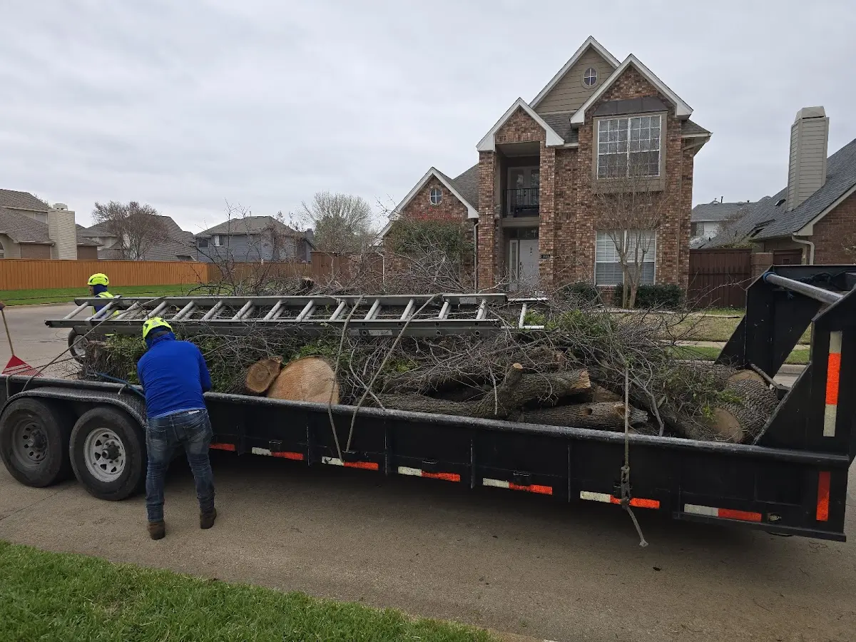 Expert Tree Fertilization with proper safety equipment in Akutan
